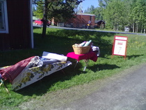 Pihakirppispäivä kevät 2013